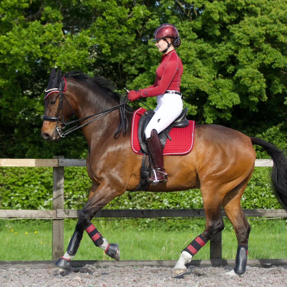 Woof Wear Close Contact Saddle Cloth Colour Fusion (Shiraz) 4 Woof Wear Close Contact Saddle Cloth Colour Fusion (Shiraz) - Image 2