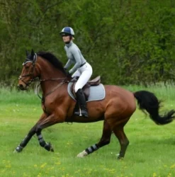 Woof Wear Close Contact Saddle Cloth Colour Fusion (Brushed Steel) -Weatherbeeta Store 10233c