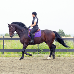 Horze River All Purpose Saddle Pad -Weatherbeeta Store 17014 PU PU 2