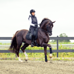 Horze River Dressage Saddle Pad 23 Horze River Dressage Saddle Pad -Weatherbeeta Store 17024 BL BL 3