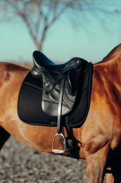 Horze Phoenix Dressage Saddle Pad 29 Horze Phoenix Dressage Saddle Pad -Weatherbeeta Store 17295 BL 4