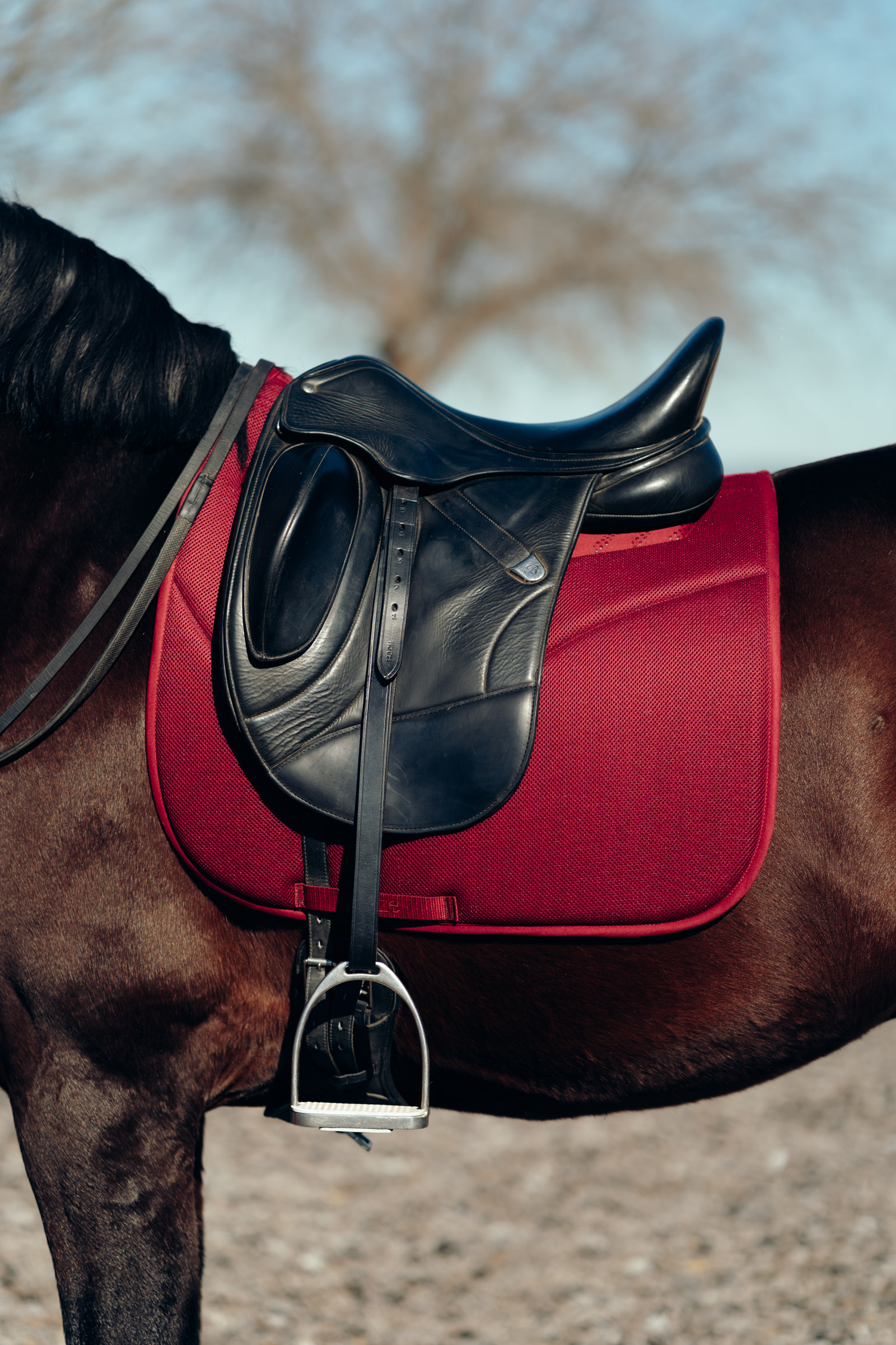 Horze Phoenix Dressage Saddle Pad 6 Horze Phoenix Dressage Saddle Pad - Image 4