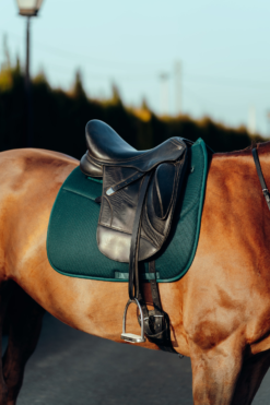 Horze Phoenix Dressage Saddle Pad 34 Horze Phoenix Dressage Saddle Pad -Weatherbeeta Store 17295 stgr 04