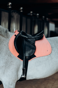 Horze Cooling All Purpose Saddle Pad -Weatherbeeta Store 17307 PAPI 3