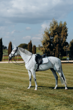 Horze Cooling All Purpose Saddle Pad -Weatherbeeta Store 17307 PBG 3