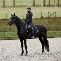 Horze Adepto All Purpose Saddle Pad 31 Horze Adepto All Purpose Saddle Pad -Weatherbeeta Store 17343 BL 5