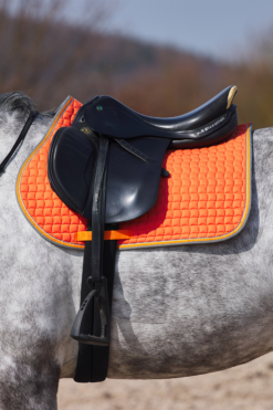 Horze Adepto All Purpose Saddle Pad 24 Horze Adepto All Purpose Saddle Pad -Weatherbeeta Store 17343 cgo 03