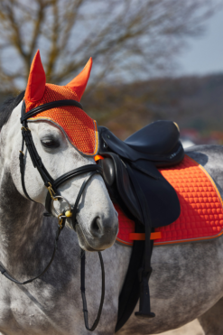 Horze Adepto All Purpose Saddle Pad 25 Horze Adepto All Purpose Saddle Pad -Weatherbeeta Store 17343 cgo 04