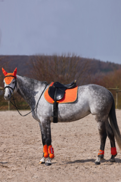 Horze Adepto All Purpose Saddle Pad 26 Horze Adepto All Purpose Saddle Pad -Weatherbeeta Store 17343 cgo 05