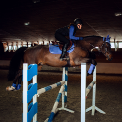 Horze Glarus All Purpose Saddle Pad With Metallic Braiding -Weatherbeeta Store 17347 MLNB 3