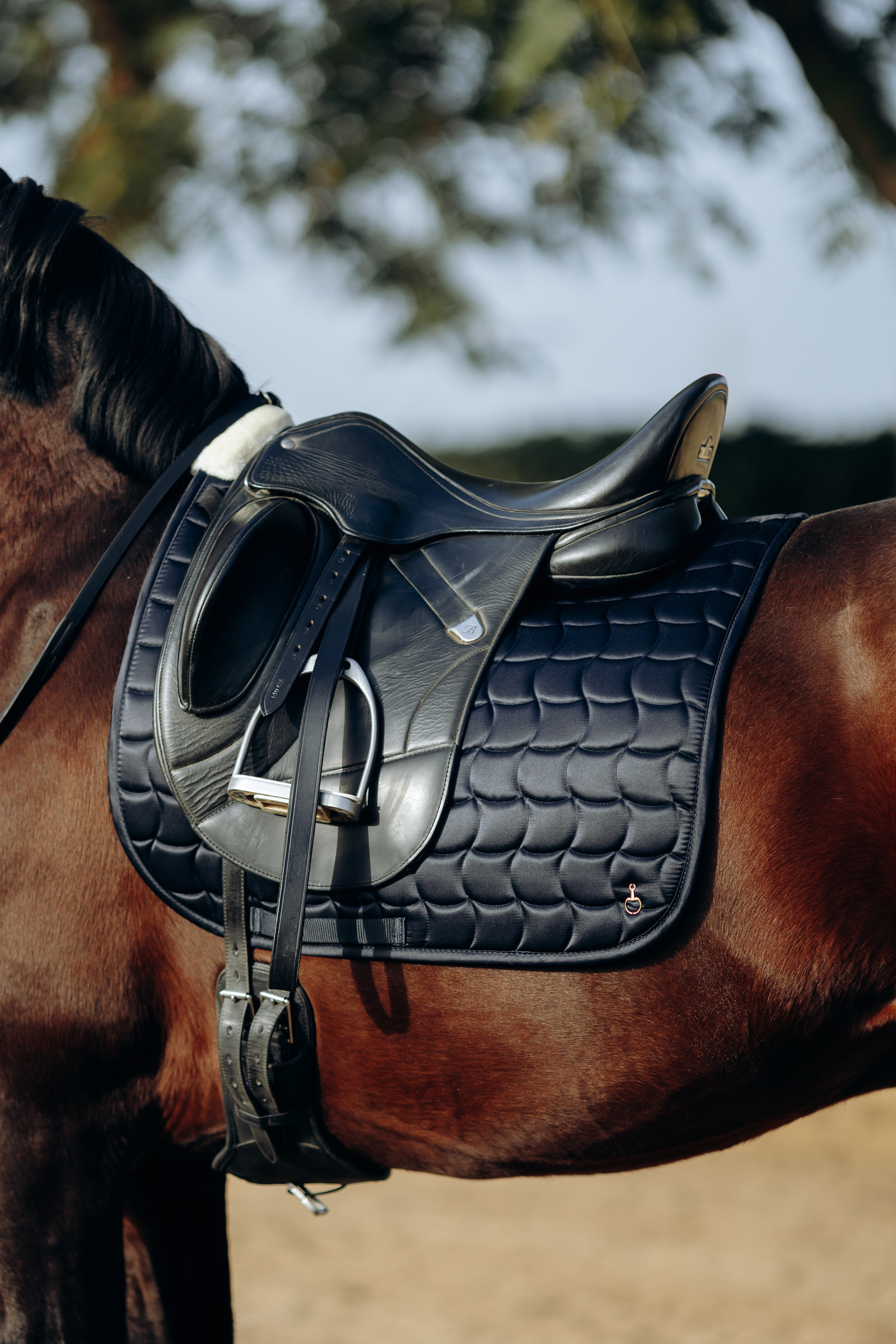 Horze Houston Dressage Saddle Pad 15 Horze Houston Dressage Saddle Pad - Image 13