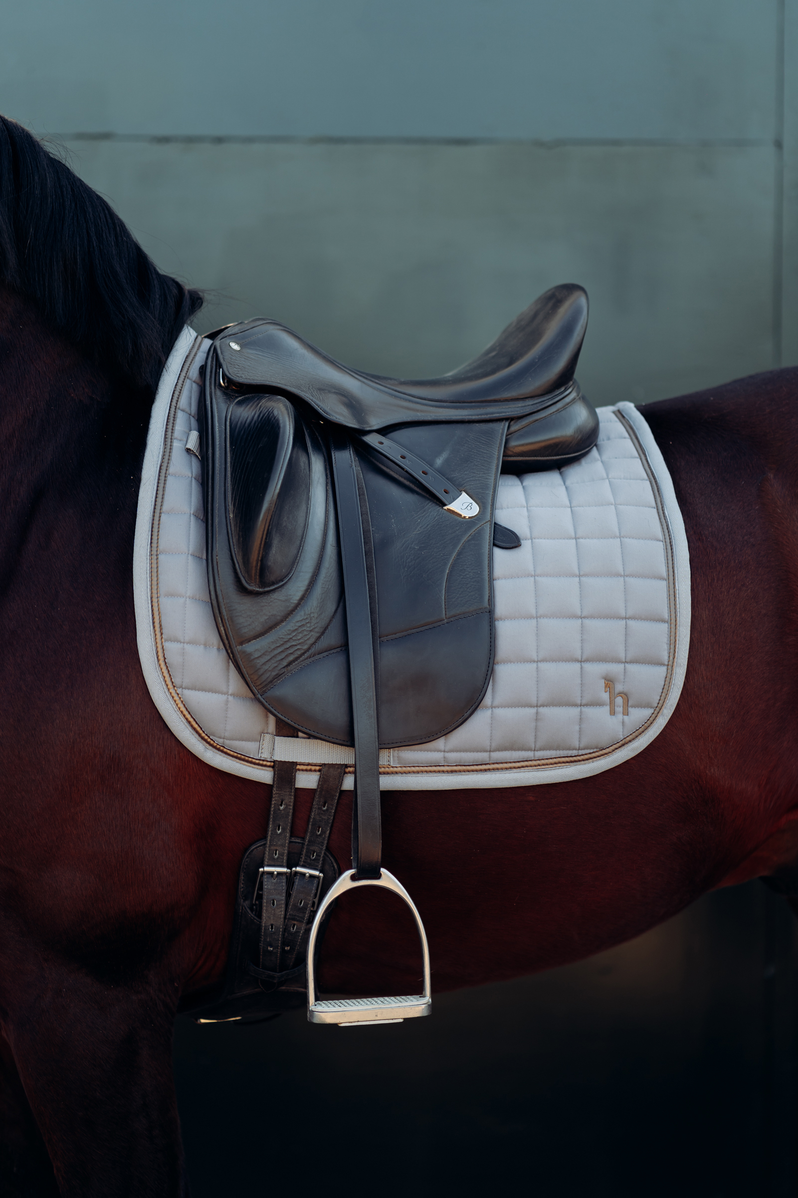 Horze Munich Dressage Saddle Pad With Metallic Detail 6 Horze Munich Dressage Saddle Pad With Metallic Detail - Image 4