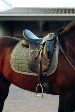 Horze Munich Dressage Saddle Pad With Metallic Detail 26 Horze Munich Dressage Saddle Pad With Metallic Detail -Weatherbeeta Store 17412 OVGR 4
