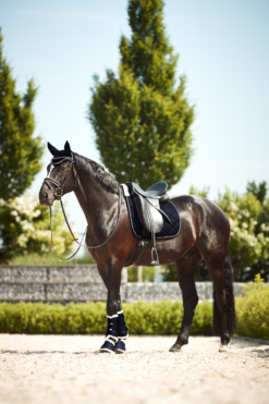 Horze Ghent Dressage Saddle Pad With Faux Fur -Weatherbeeta Store 17416 VDB 4