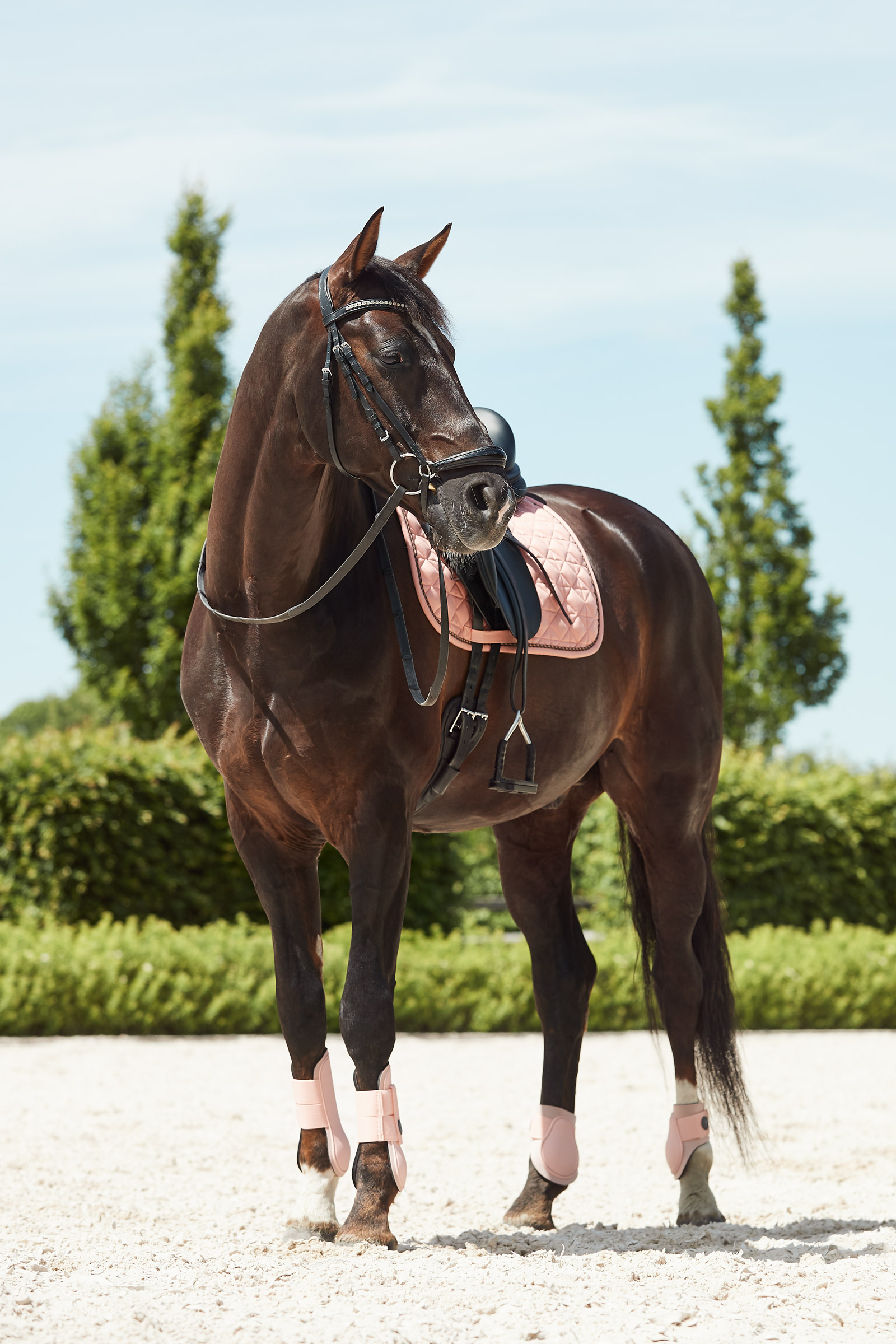 Horze Coventry Dressage Saddle Pad 10 Horze Coventry Dressage Saddle Pad - Image 8