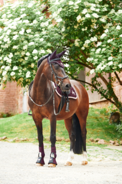 Horze Monster Pony Saddle Pad With Embroidery -Weatherbeeta Store 17422 FPU 5