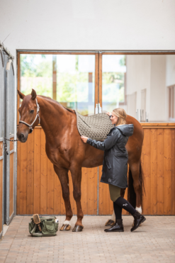 Horze Sandnes All Purpose Saddle Pad -Weatherbeeta Store 17425 dogr 03