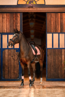 Horze Trixi Pony All Purpose Saddle Pad -Weatherbeeta Store 17441 333 05