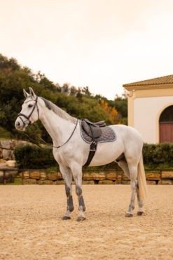 Horze Navajo All Purpose Saddle Pad -Weatherbeeta Store 17442 060 07