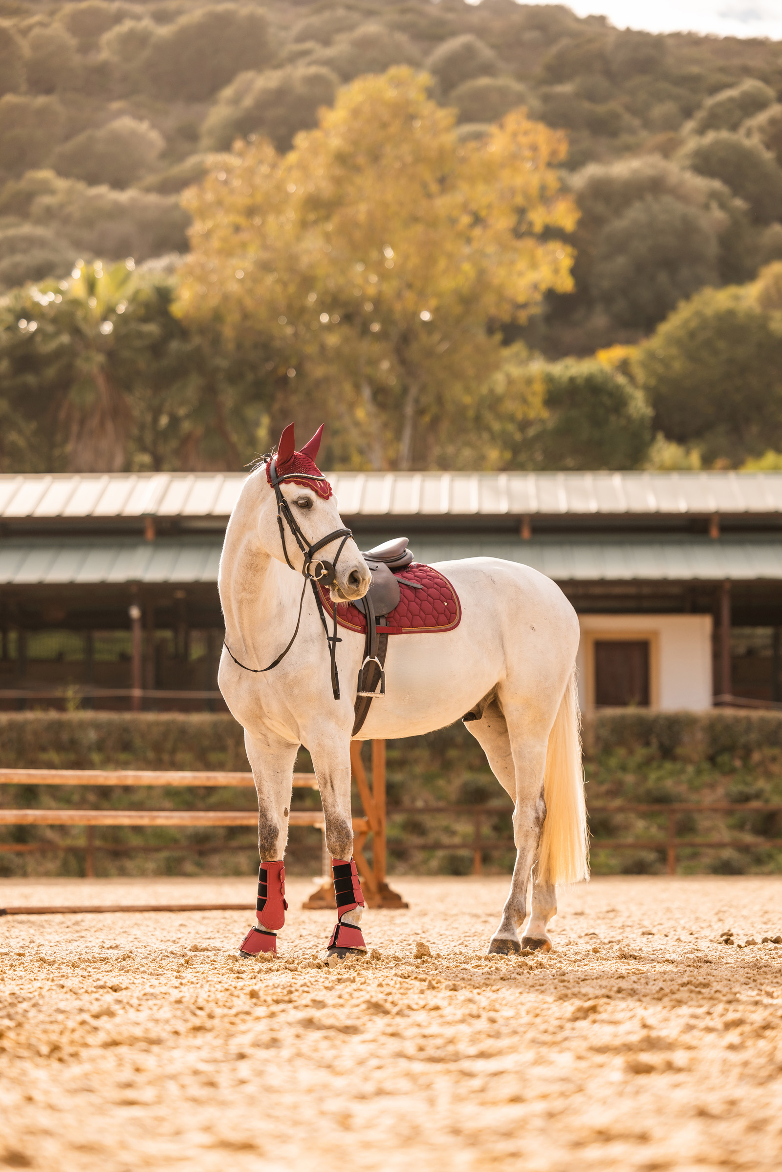 Horze Kenya All Purpose Saddle Pad 8 Horze Kenya All Purpose Saddle Pad - Image 6