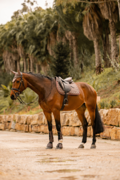 Horze Kenya All Purpose Saddle Pad 29 Horze Kenya All Purpose Saddle Pad -Weatherbeeta Store 17444 753 07