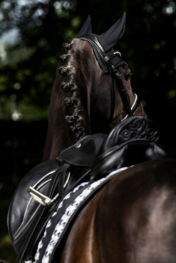 Eskadron Essence 22/23 Big Square Glossy Dressge Saddle Pad -Weatherbeeta Store 342542 BL WH LOGR 3