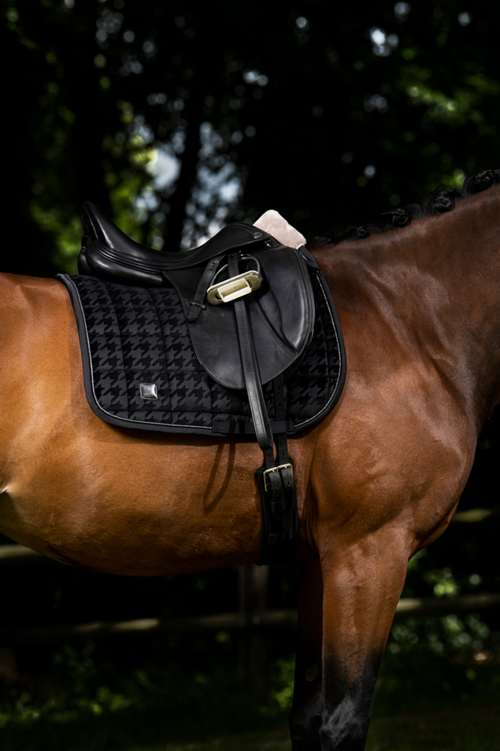 Eskadron Essence 22/23 Velvet Stamp Dressage Saddle Pad 4 Eskadron Essence 22/23 Velvet Stamp Dressage Saddle Pad - Image 2