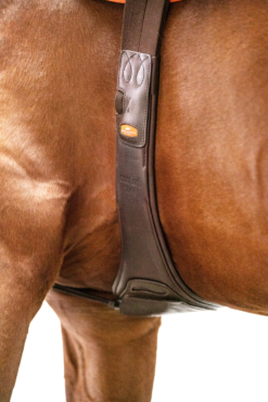 Schockemöhle Portland All Purpose Saddle Girth 37 Schockemöhle Portland All Purpose Saddle Girth -Weatherbeeta Store 343555 DBR SI 5