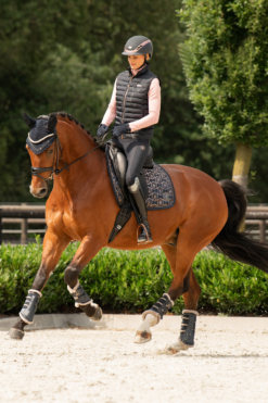 Eskadron Heritage AW2023 Glossy Heritage Dressage Saddle Pad 8 Eskadron Heritage AW2023 Glossy Heritage Dressage Saddle Pad -Weatherbeeta Store 345634 DB 02