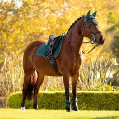 LeMieux Suede Close Contact Saddle Pad Spruce -Weatherbeeta Store it03258 lifestyle suedeclosecontactsquare spruce 4