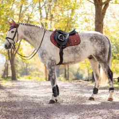 LeMieux Loire Satin Close Contact Saddle Pad Orchid 9 LeMieux Loire Satin Close Contact Saddle Pad Orchid -Weatherbeeta Store it03270 lifestyle loireclassicclosecontactsquare orchid 3